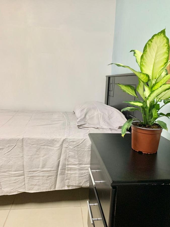 Global House Cr Hostel Backpackers Alajuela Habitacion Compartida 2 Camas Por Habitacion Εξωτερικό φωτογραφία
