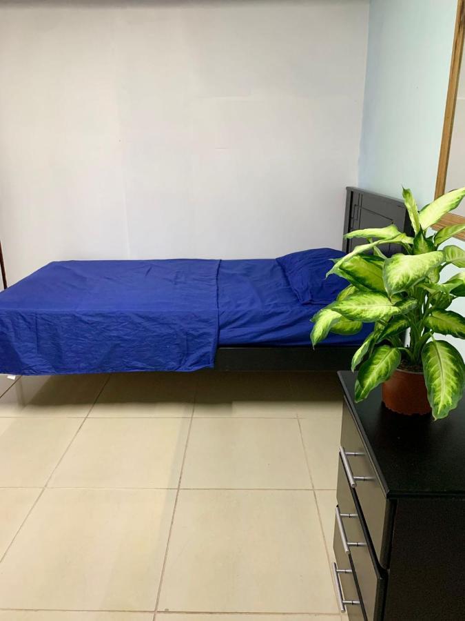 Global House Cr Hostel Backpackers Alajuela Habitacion Compartida 2 Camas Por Habitacion Εξωτερικό φωτογραφία